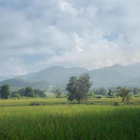 Camp View Mountain - Sell Experience By Paddy Fields Haven - Natures Nest Pai Exteriör bild