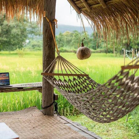 Camp View Mountain - Sell Experience By Paddy Fields Haven - Natures Nest Pai Exteriör bild