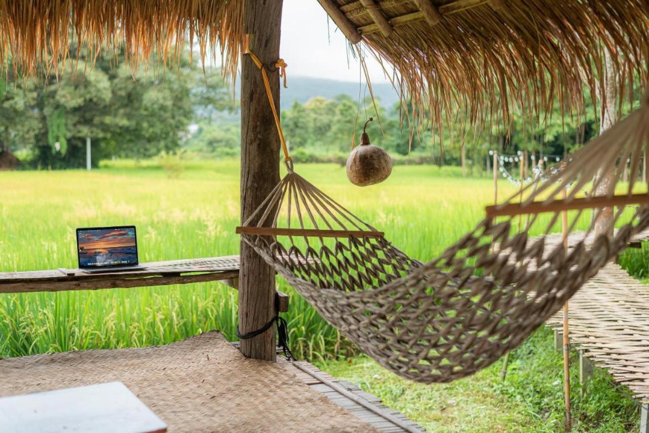 Camp View Mountain - Sell Experience By Paddy Fields Haven - Natures Nest Pai Exteriör bild