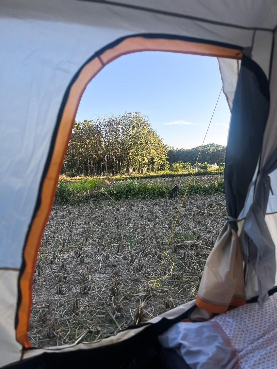 Camp View Mountain - Sell Experience By Paddy Fields Haven - Natures Nest Pai Exteriör bild