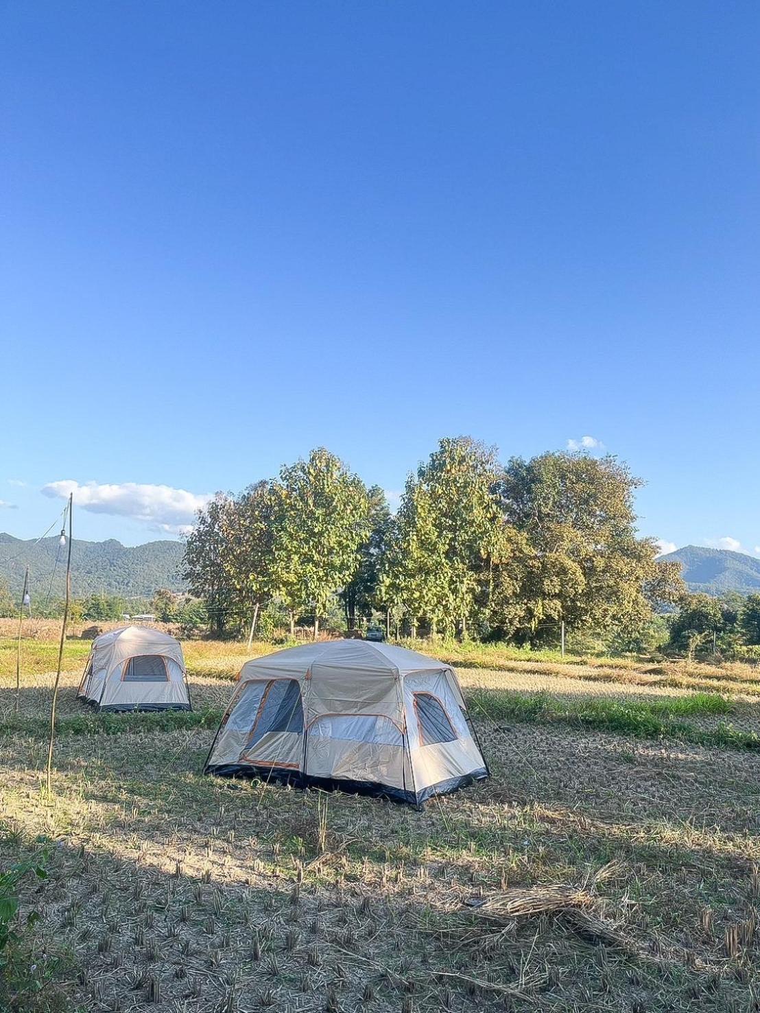 Camp View Mountain - Sell Experience By Paddy Fields Haven - Natures Nest Pai Exteriör bild