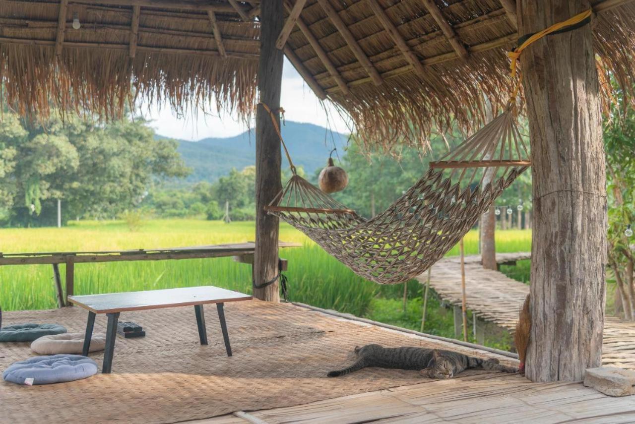 Camp View Mountain - Sell Experience By Paddy Fields Haven - Natures Nest Pai Exteriör bild